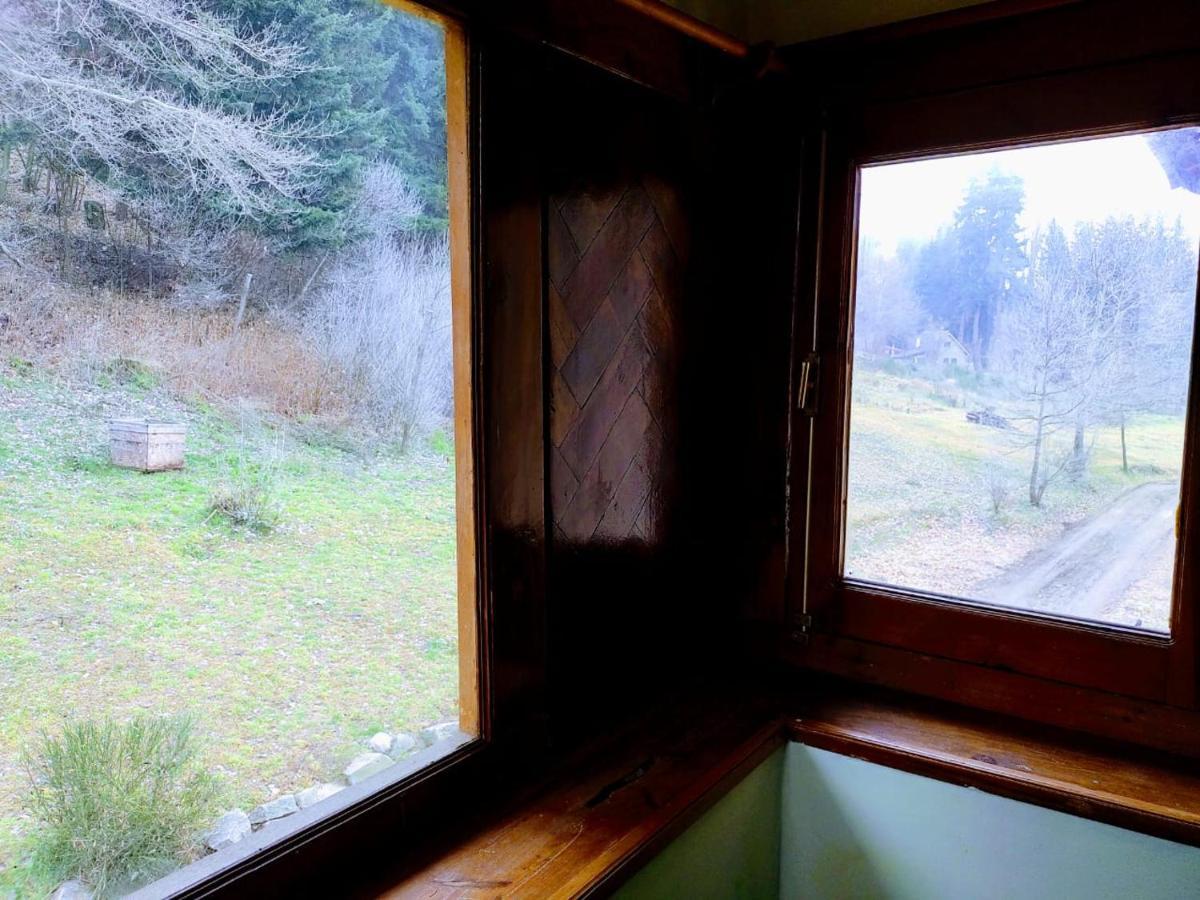Posada Del Nireco 圣卡洛斯-德巴里洛切 外观 照片