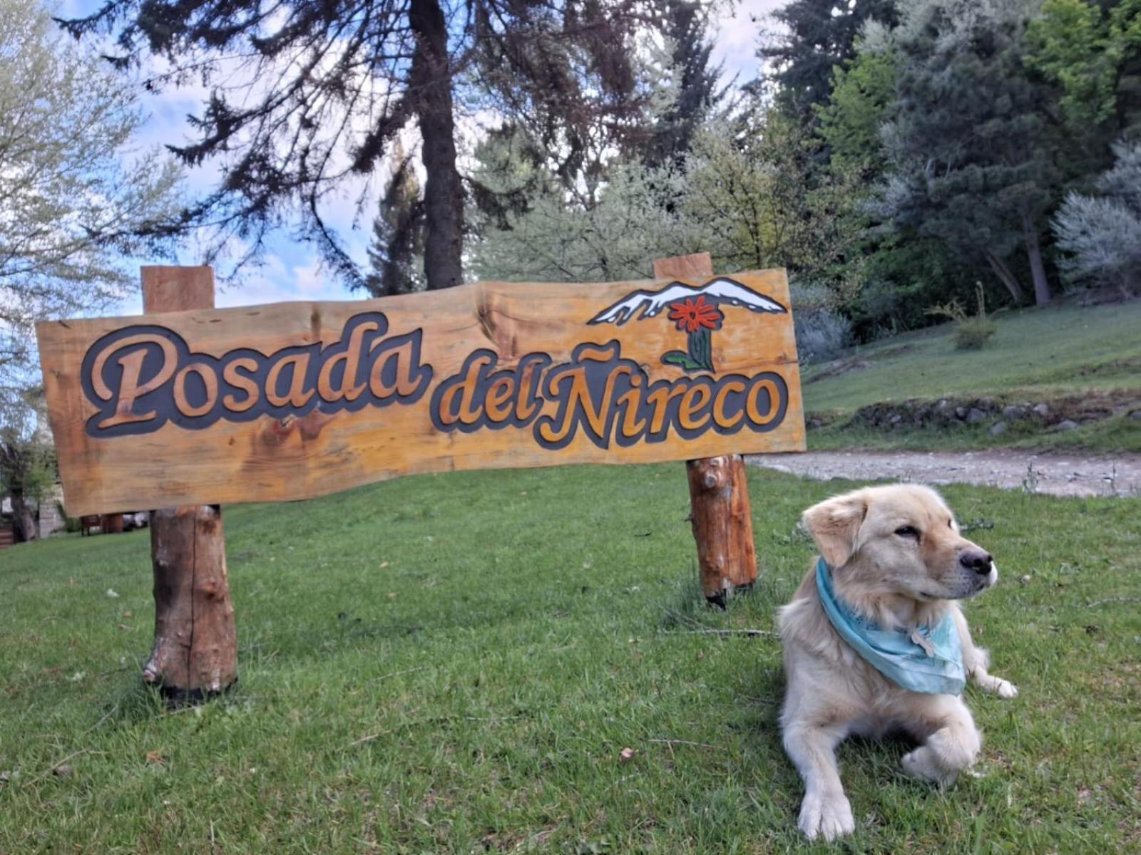 Posada Del Nireco 圣卡洛斯-德巴里洛切 外观 照片